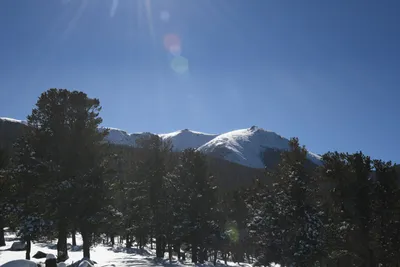 DSC_4896 (Large).JPG